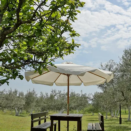 بيت للعطل Mavitaplace Olympus Olive House-upper Floor ليبتوكاريا
