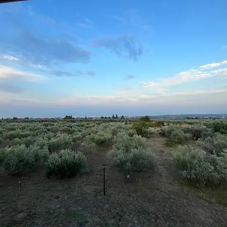 Mavitaplace Olympus Olive House-upper Floor Дом отдыха