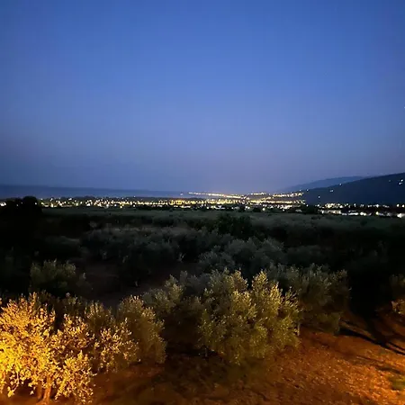 Mavitaplace Olympus Olive House-upper Floor