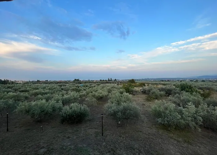 Mavitaplace Olympus Olive House-upper Floor Дом отдыха