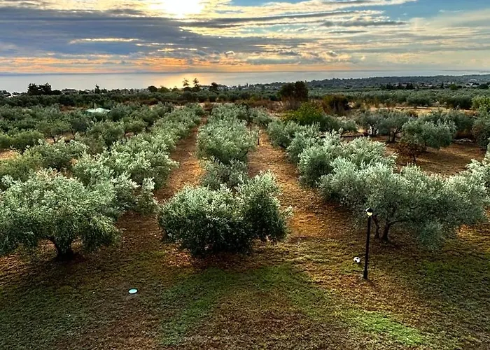 Mavitaplace Olympus Olive House-upper Floor Дом отдыха Лептокария